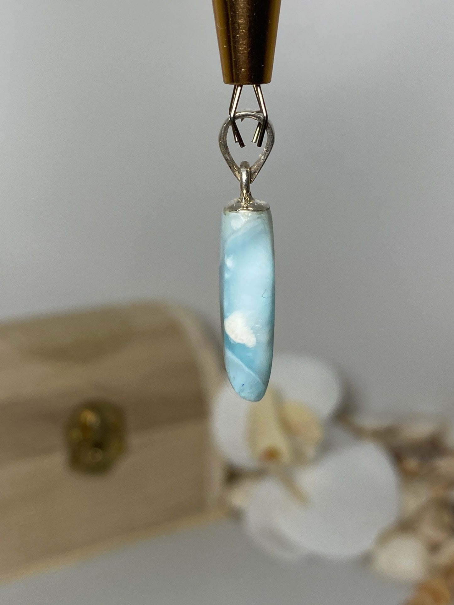 Beautiful Fang Larimar Pendant