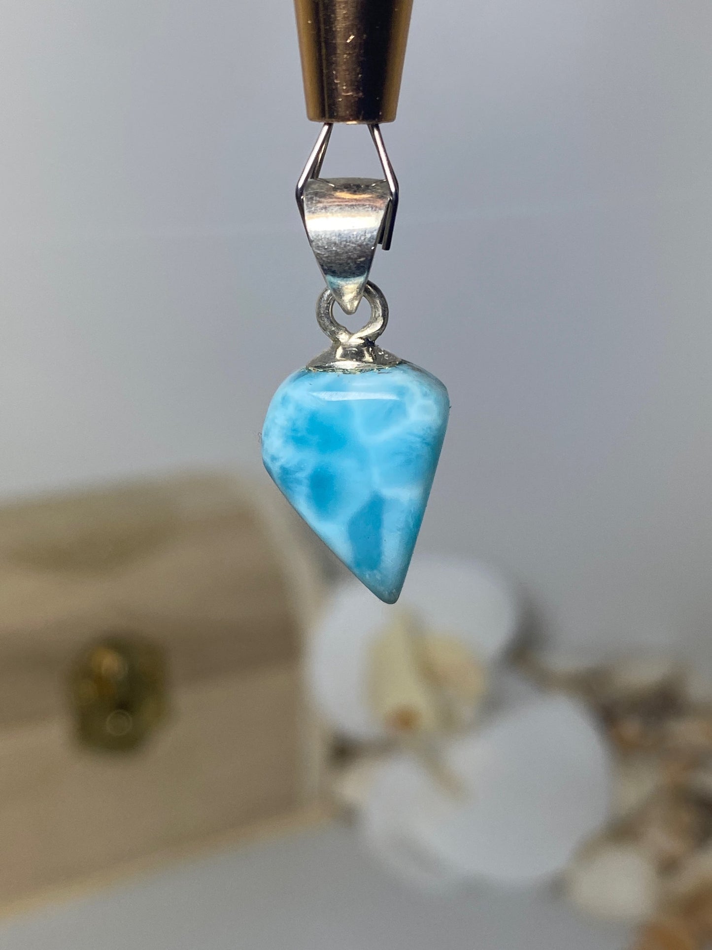 Beautiful Fang Larimar Pendant