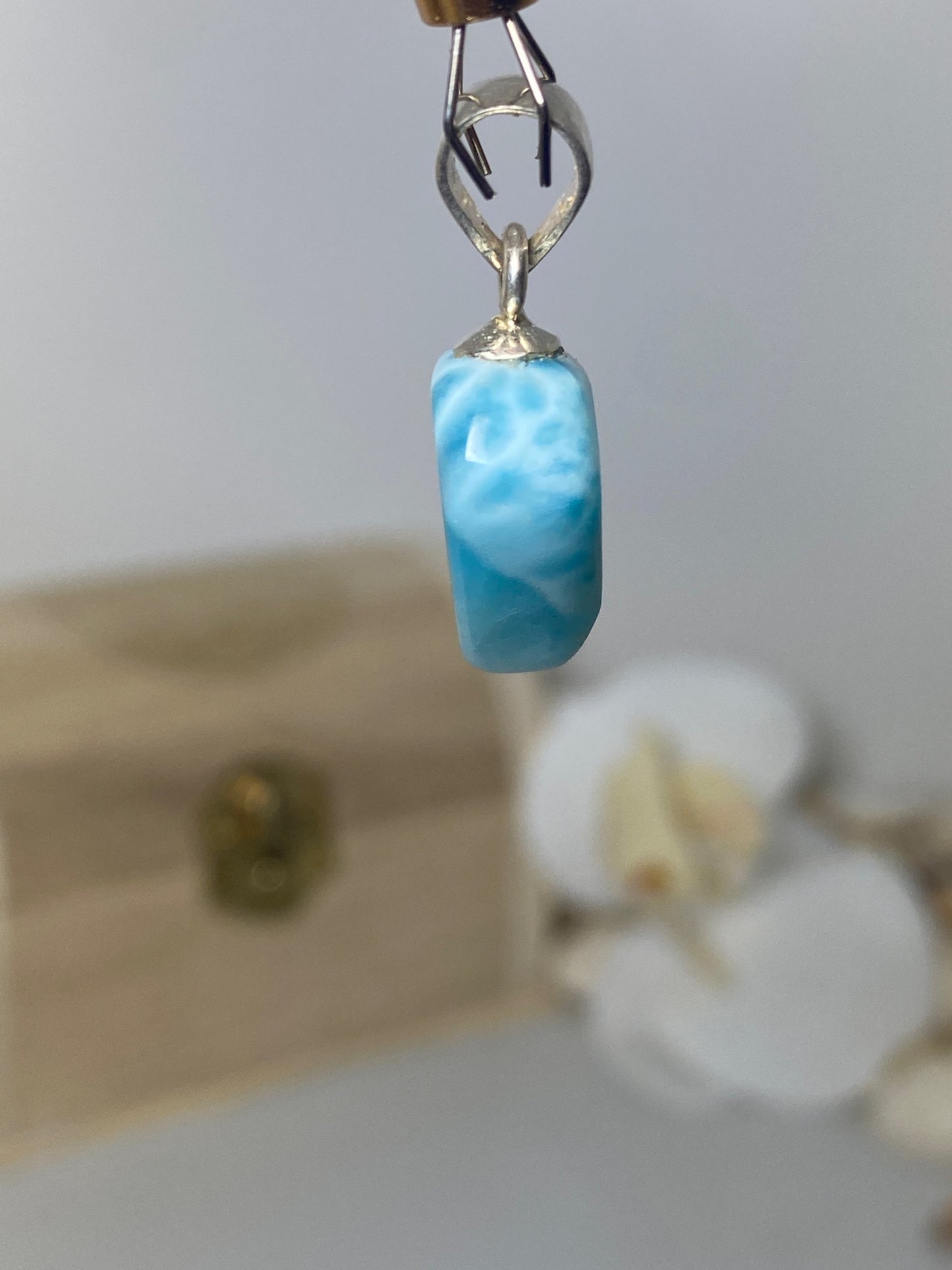Beautiful Fang Larimar Pendant