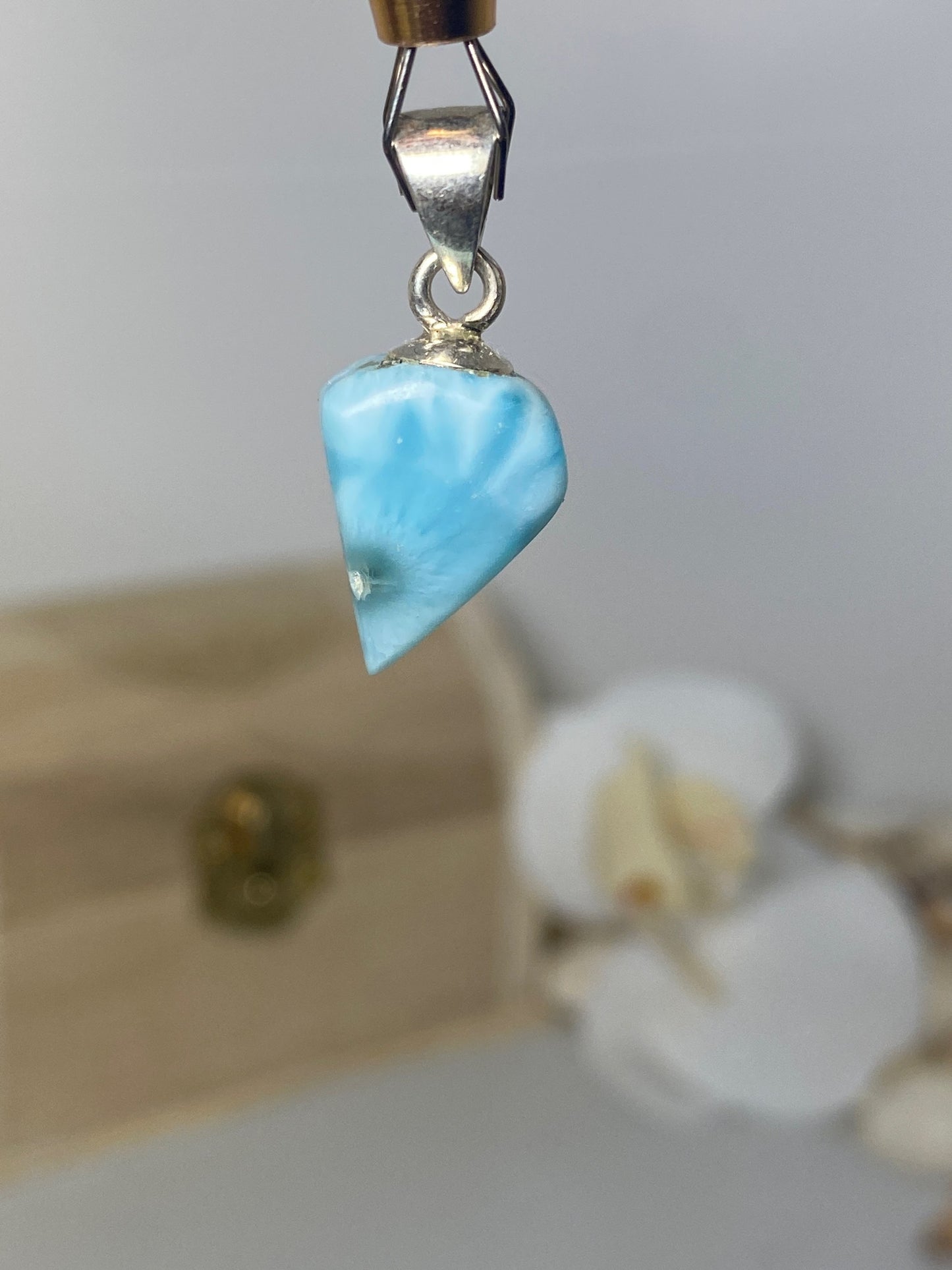 Beautiful Fang Larimar Pendant