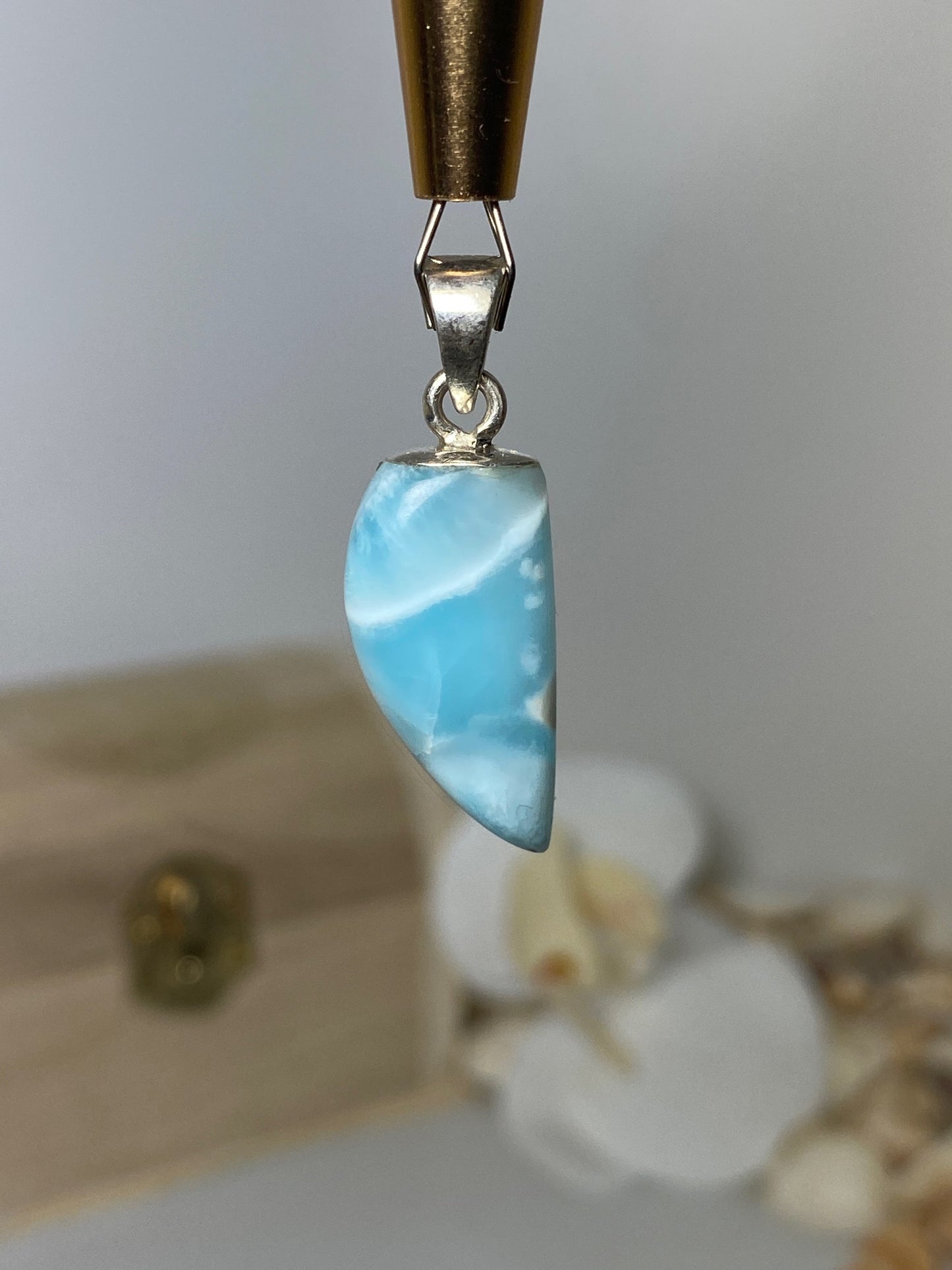 Beautiful Fang Larimar Pendant