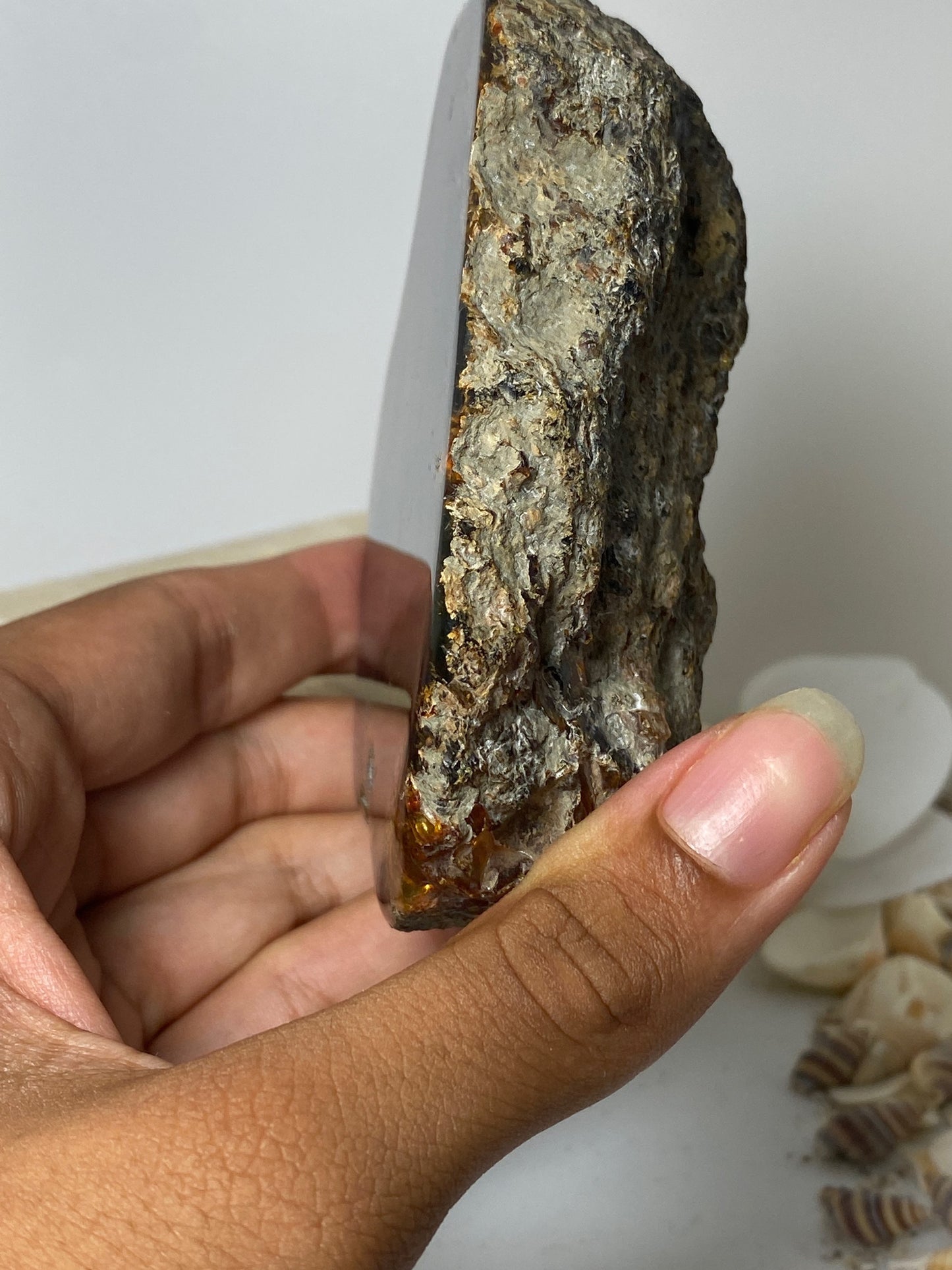 Blue Amber Rock