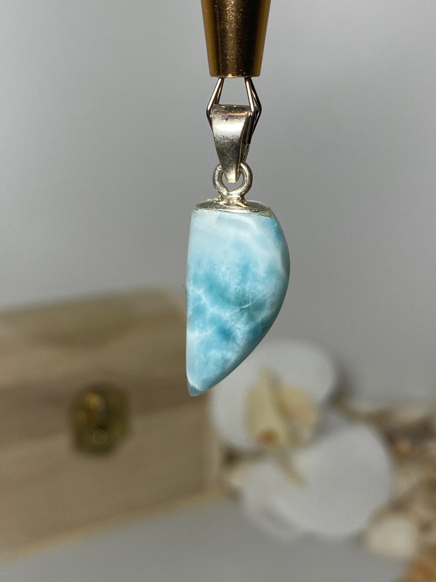 Beautiful Fang Larimar Pendant