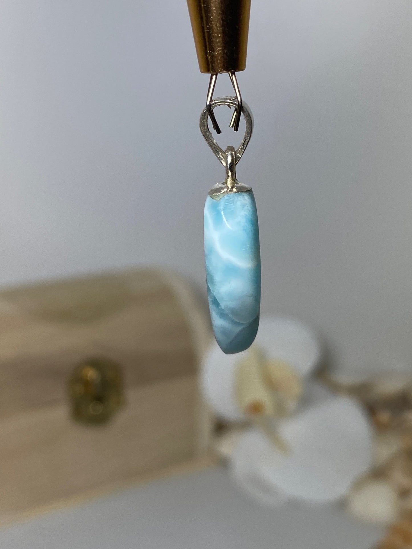 Beautiful Fang Larimar Pendant