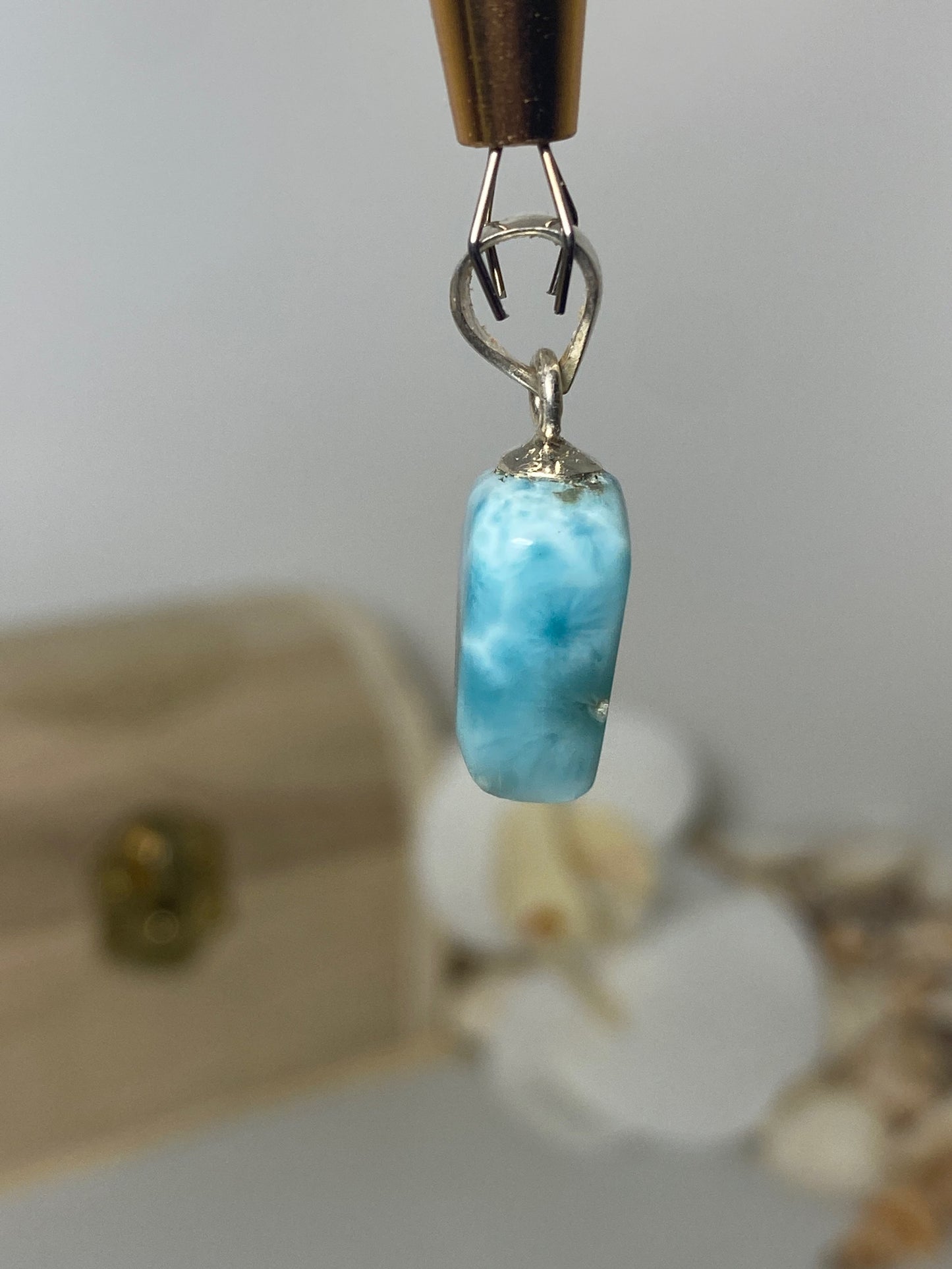 Beautiful Fang Larimar Pendant