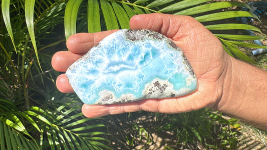 Larimar Ocean Creature Slab
