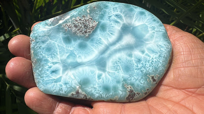 Beautiful Larimar Soap with the signature of a whale Inside