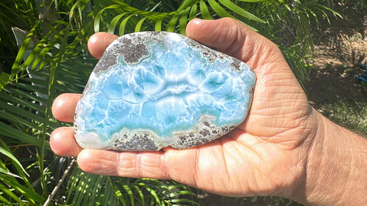 Larimar Ocean Creature Slab