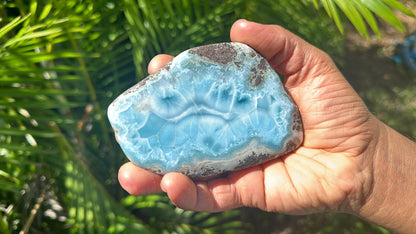Larimar Ocean Creature Slab