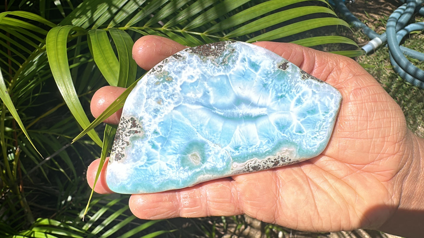 Larimar Ocean Creature Slab